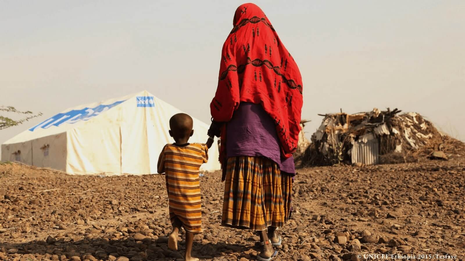 Afar Somali Regions Loss Of Life Displacement Ethiopian Human