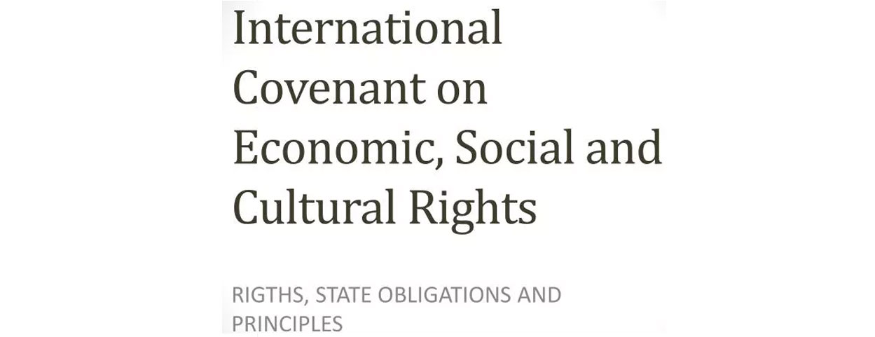 International Covenant On Economic Social And Cultural Rights