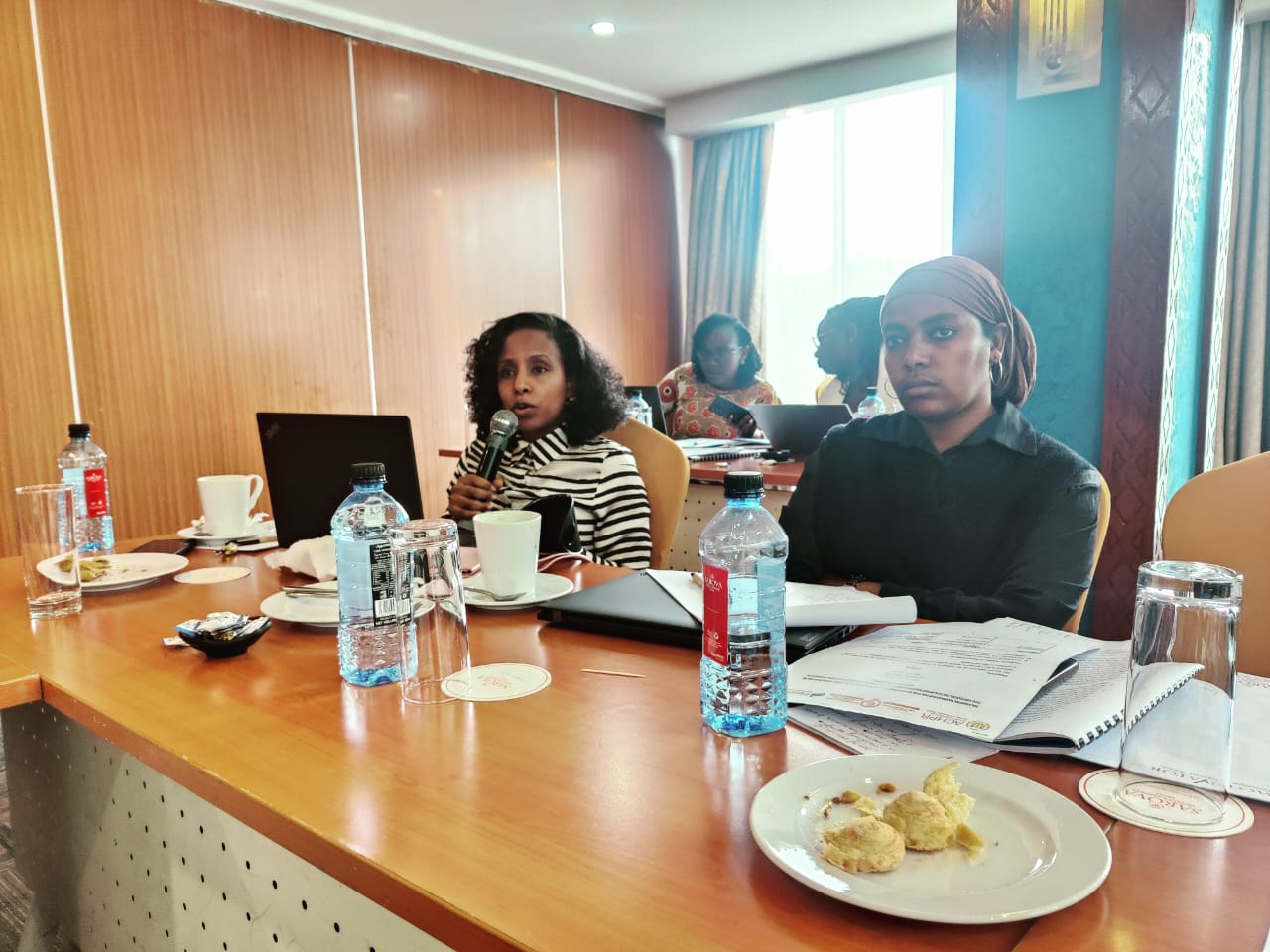 Workshop: Withdrawal of Reservations to the Protocol to the African ...