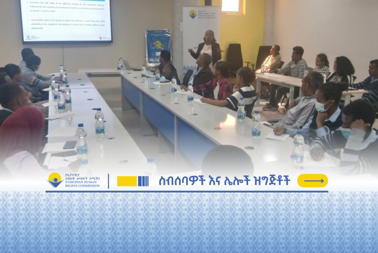 ለ5ኛው ሀገር አቀፍ የሁለተኛ ደረጃ ትምህርት ቤቶች የሰብአዊ መብቶች ምስለ ችሎት ውድድር ተሳታፊዎች የተሰጠ የማስጀመሪያ ስልጠና