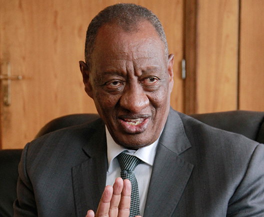 Ambassador Tiruneh Zena