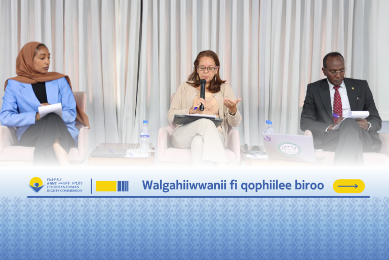 Marii Guyyaa Idil-Addunyaa Mirga Dhugaa Beekuu Ilaalchisee Taasifame