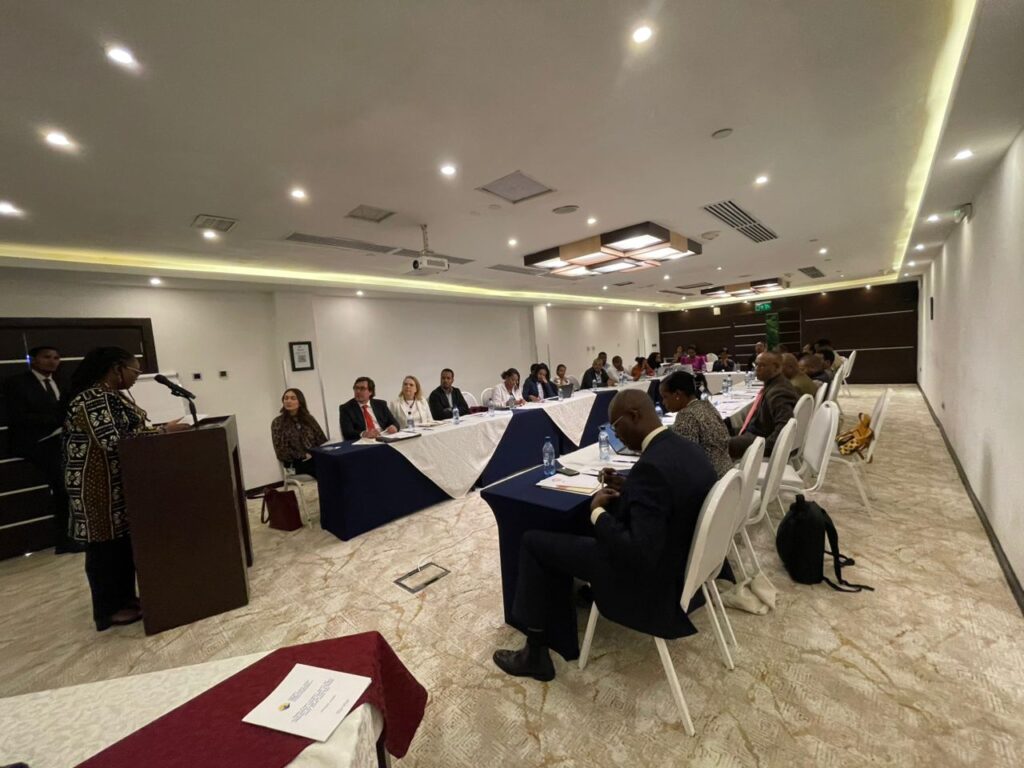 Consultation on Expanding Civic Space and Strengthening the Protection ...