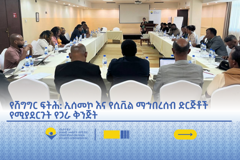 ኢሰመኮ እና የሲቪል ማኅበረሰብ ድርጅቶች አካታች የሽግግር ፍትሕ ሂደትን ለማረጋገጥ የሚያደርጉትን የጋራ ቅንጅት ማጠናከር ላይ ተወያዩ 